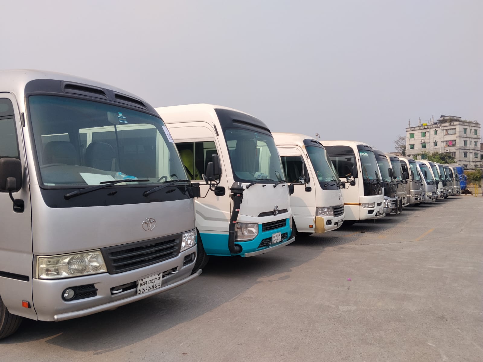 Our Bus Collections